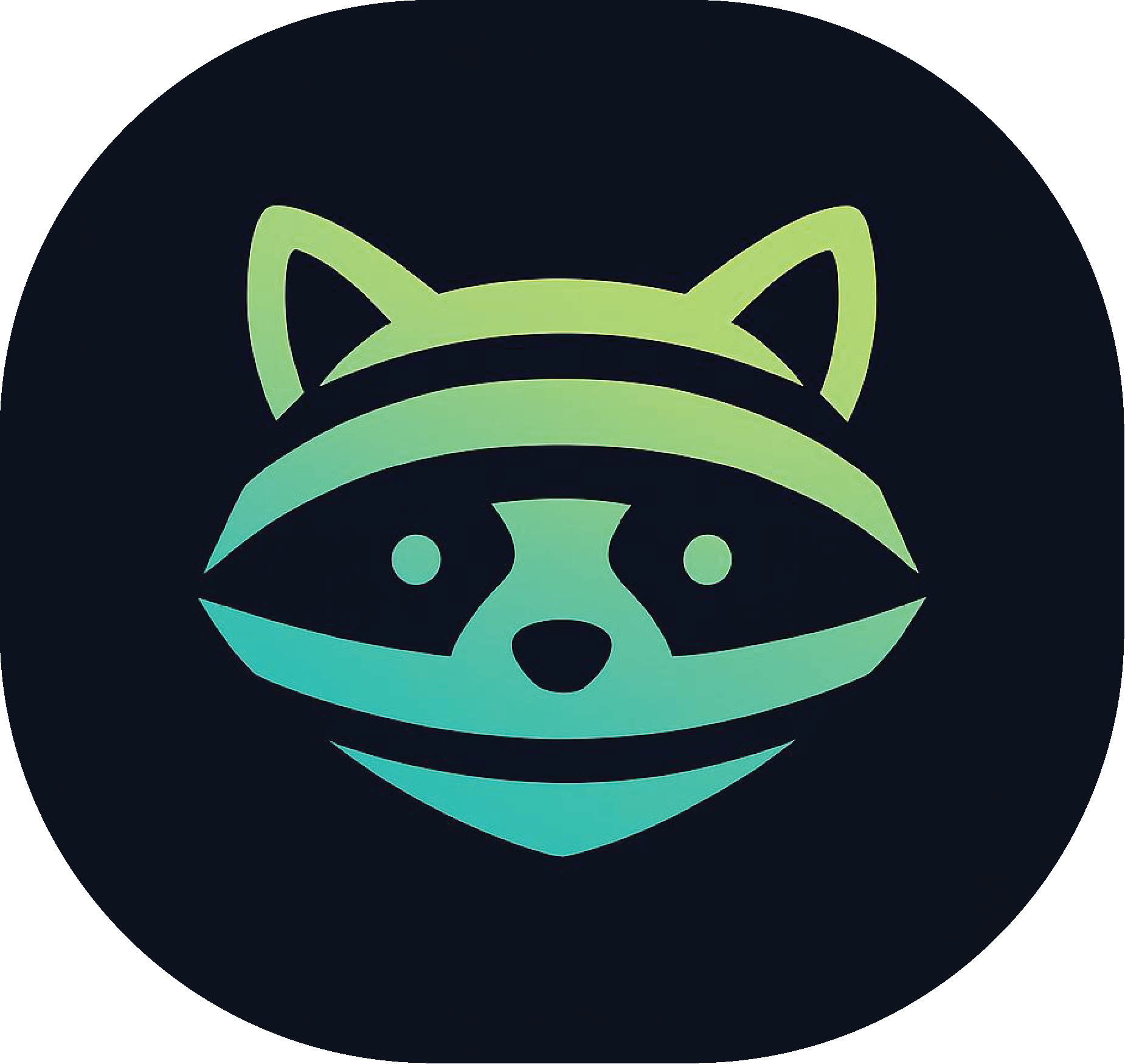 BlockRaccoon Logo